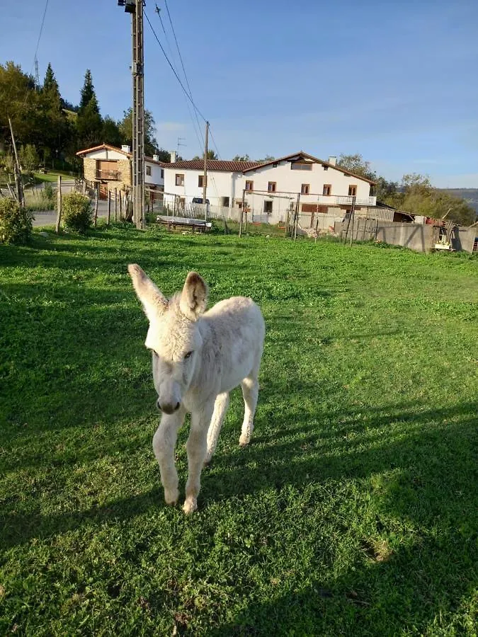 Agroturismo Pagoederraga Orio Spain
