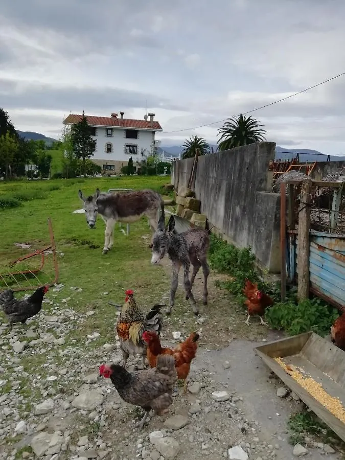 Farm stay Agroturismo Pagoederraga Orio