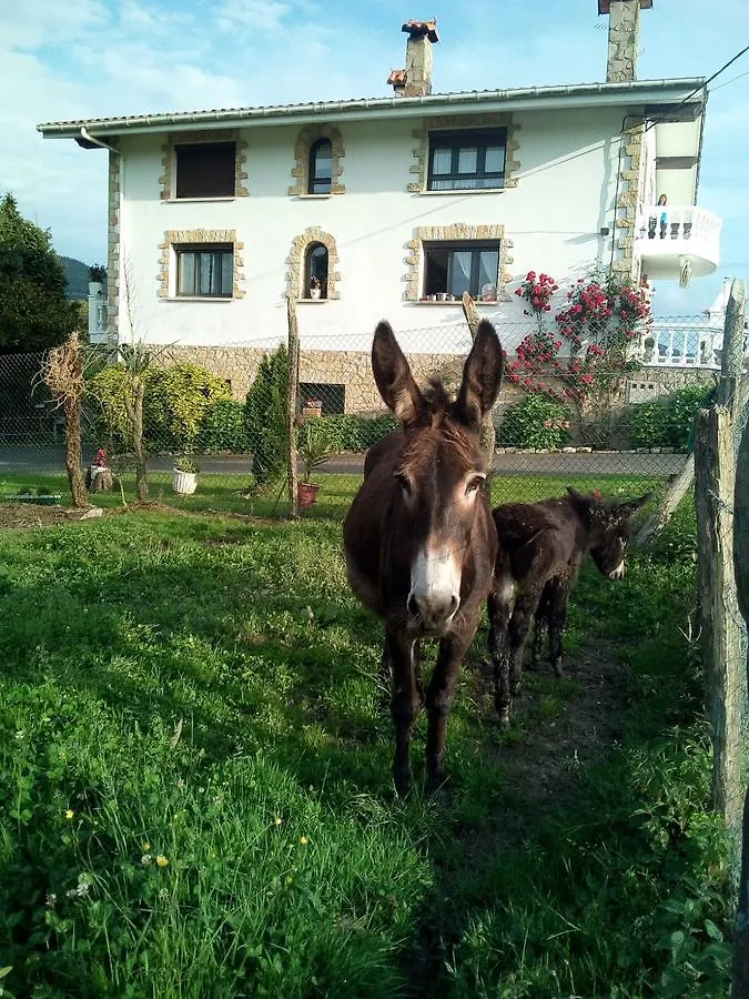 Agroturismo Pagoederraga Orio Spain